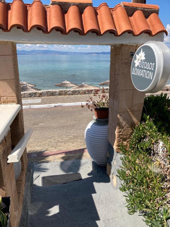 Hotel Beach Amaryllis Megalochori  Экстерьер фото